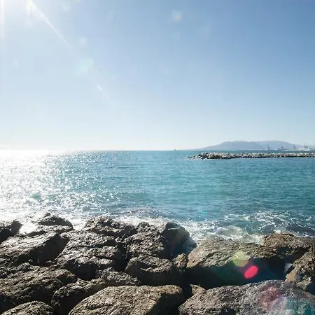 In 101681 Malaga